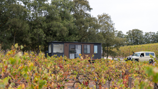 Discover Arby: A Unique Tiny House Getaway Amidst the Vines