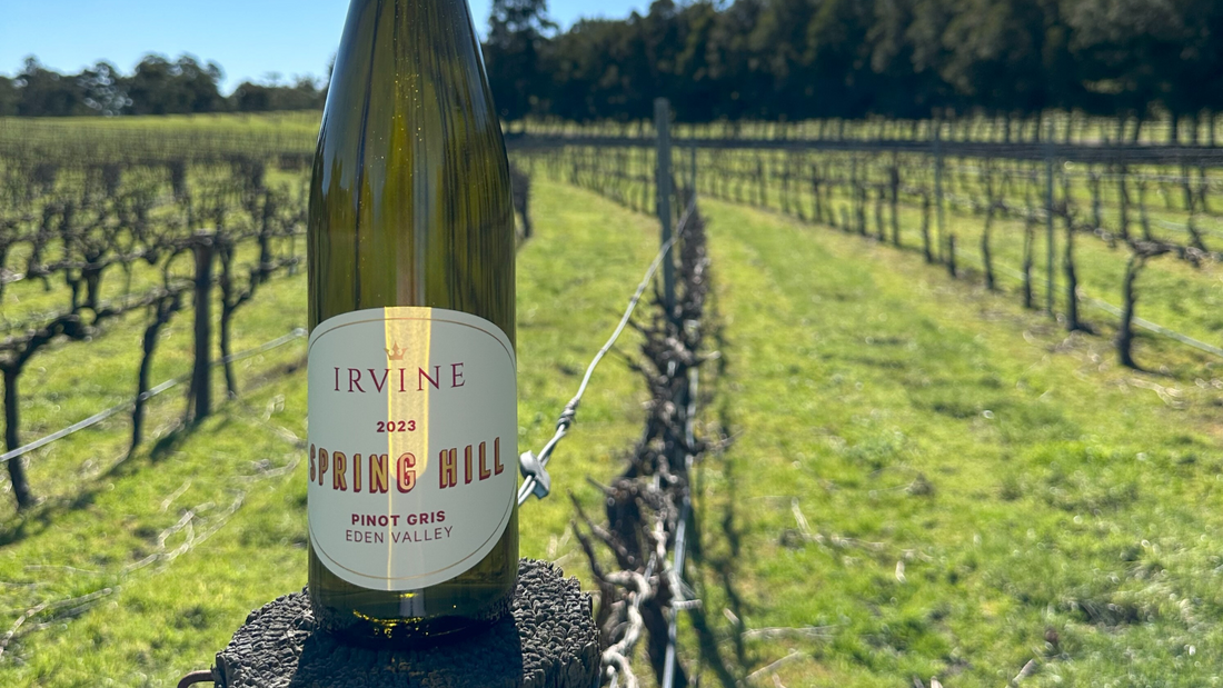 Cheers to Our Newest Darling: Spring Hill Pinot Gris 2023