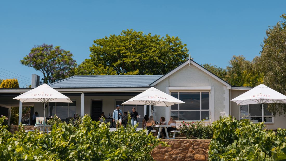 Introducing Our New Cellar Door